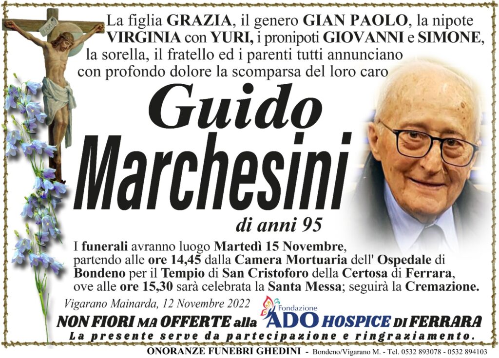 Questa immagine ha l'attributo alt vuoto; il nome del file è d7d7e81e-2d77-4362-bb6a-bd4a40aa93e3-1024x735.jpg