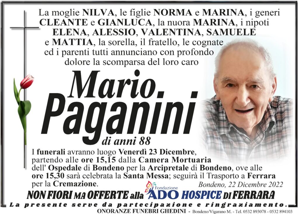 Questa immagine ha l'attributo alt vuoto; il nome del file è 7ca0e875-bb98-4f19-867a-61de903f5c9e-1024x735.jpg